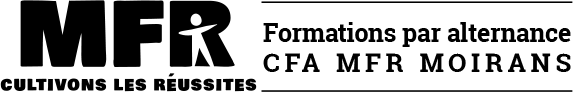 dev-mfr-moirans.org