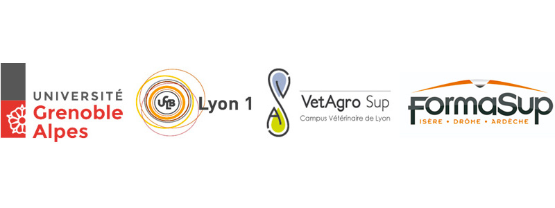 logos-licence-1